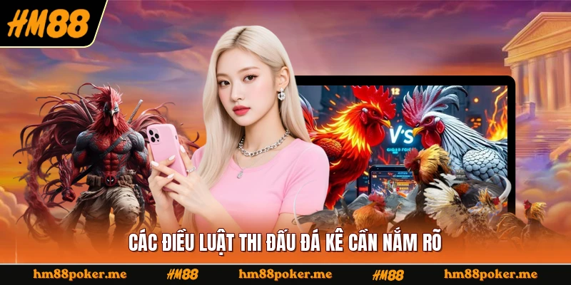 Các điều luật thi đấu đá kê cần nắm rõ