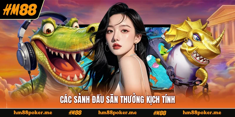 Các sảnh đấu săn thưởng kịch tính