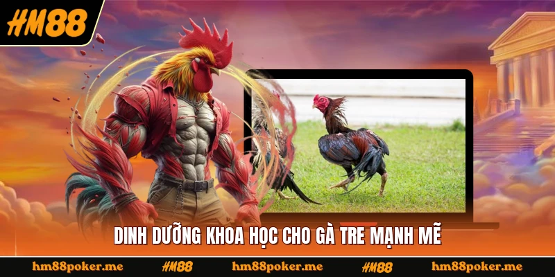 Dinh dưỡng khoa học cho gà tre mạnh mẽ