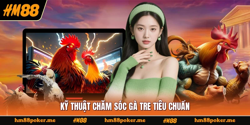 Kỹ thuật chăm sóc gà tre tiêu chuẩn