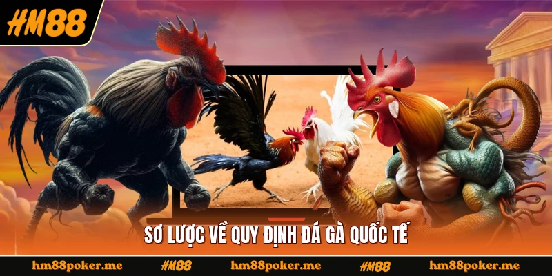 Sơ lược về quy định đá gà quốc tế