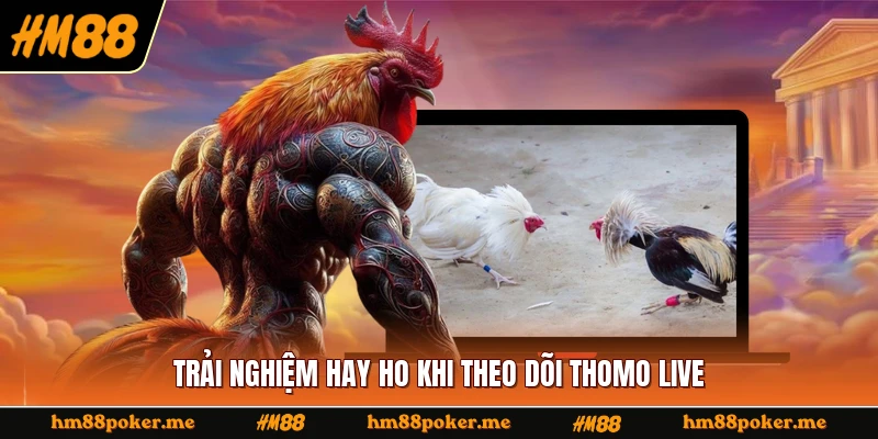 Trải nghiệm hay ho khi theo dõi Thomo live